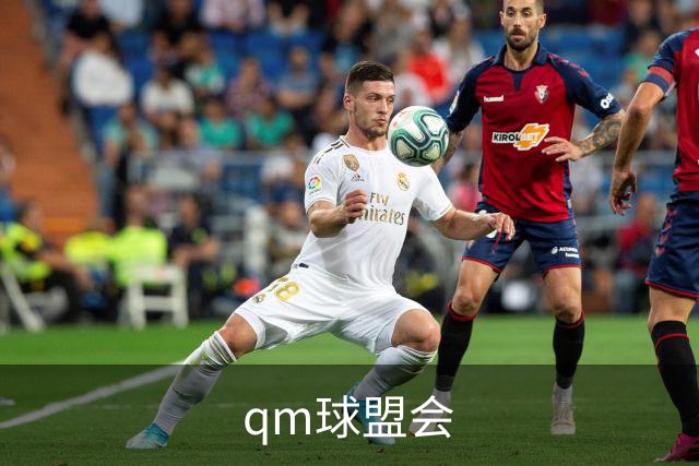 qm球盟会公司形象图